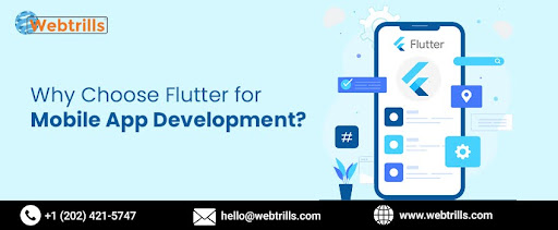 Flutter App Development Services in Ashburn USA