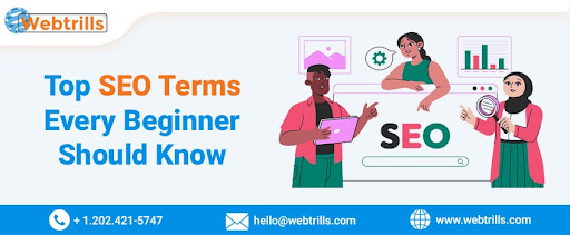 Top SEO Terms Every Beginner Should Know